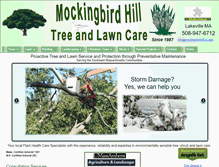 Tablet Screenshot of mockingbirdhilltlc.com